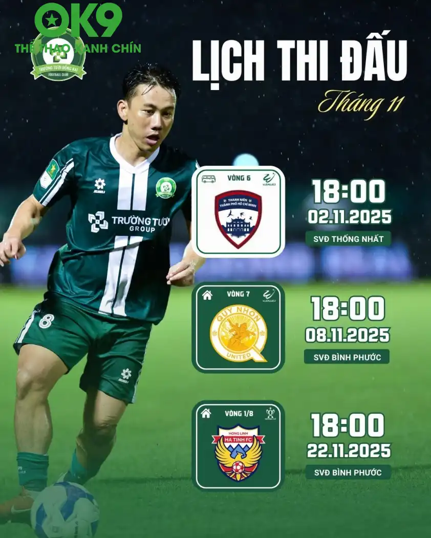 Các trận đấu tiếp theo của CLB Đồng Nai. Ảnh: Fanpage CLB