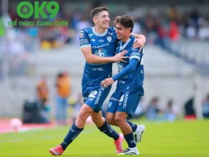 thethao247 recovered 191509